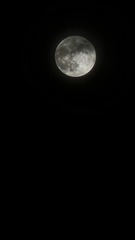 1000026174
