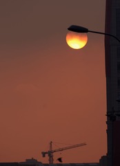 _FH08114 (2)