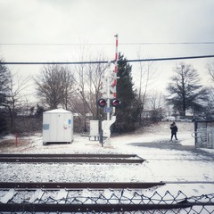 559954