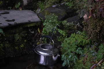 DSC_1395-1