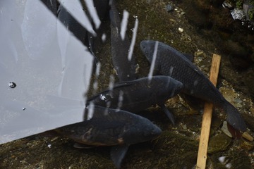 DSC_1399-1