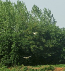 8551B422-AFED-4CCF-9AB2-262D79962297/L0/001