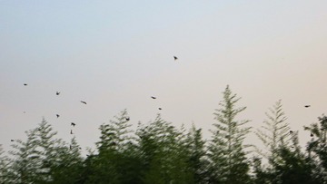 477E3165-F1AE-478C-861C-175C6D444035/L0/001