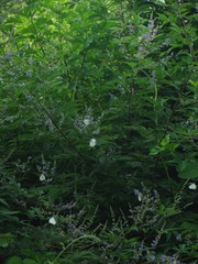 07EF705C-601D-4E39-A68F-500840594196/L0/001