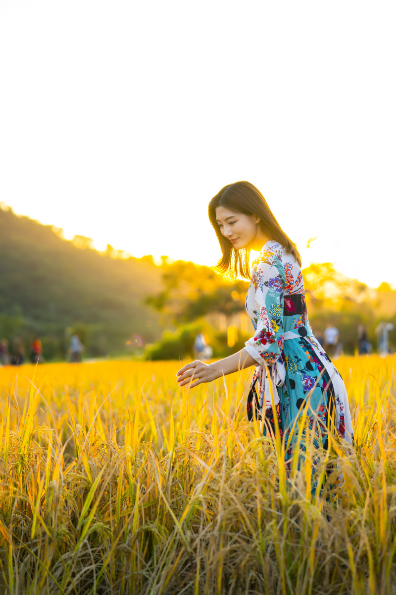 稻田人像 秋季稻田逆光人像 从化艾米稻香小镇 - 晓憩枫林 - 图虫