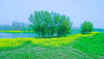 DJI_0211-1