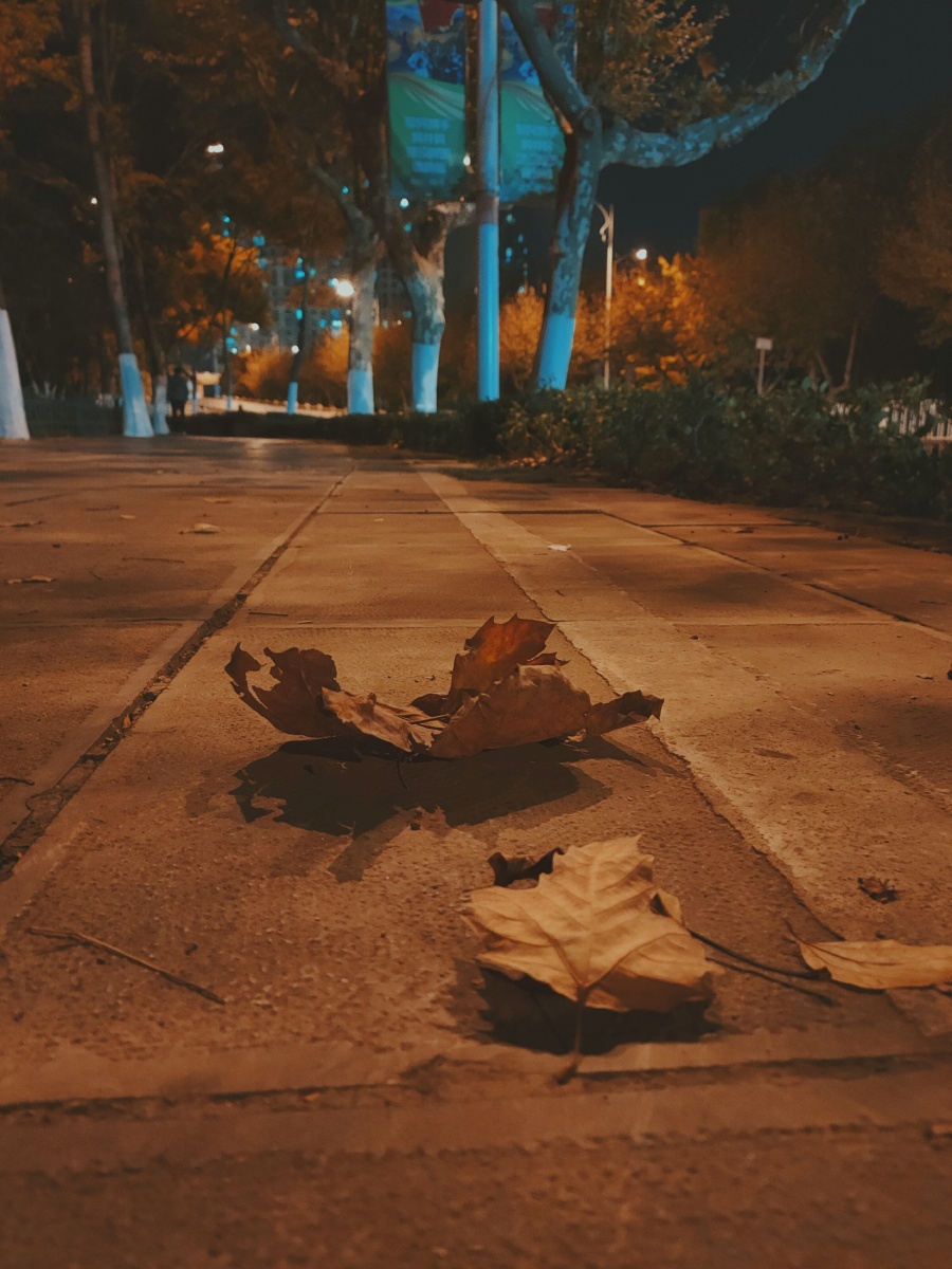 我喜欢四下无人的街黯淡无光的夜素未平生的风无处停留的目光以及孤单