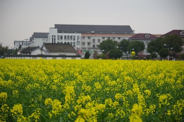 4764405