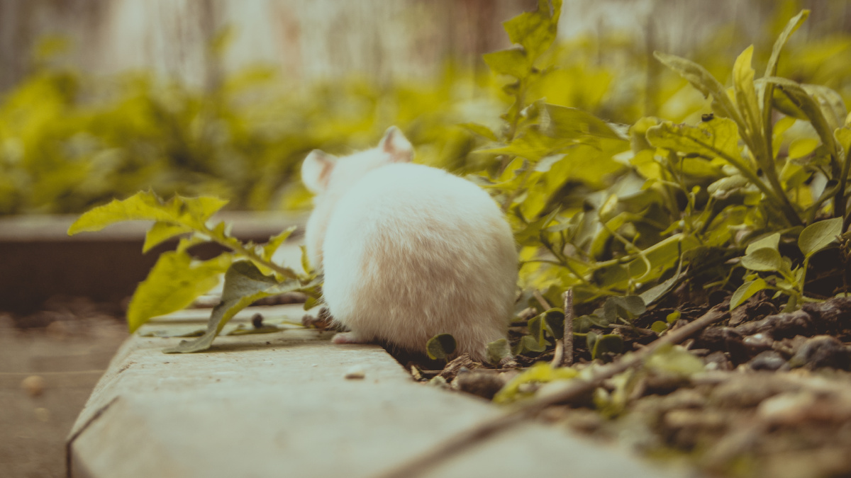 原创内讧再升级：聚力文化无实控人风波不断子公司不配合三季报延期