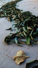 IMG_20161103_194247