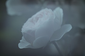 904772