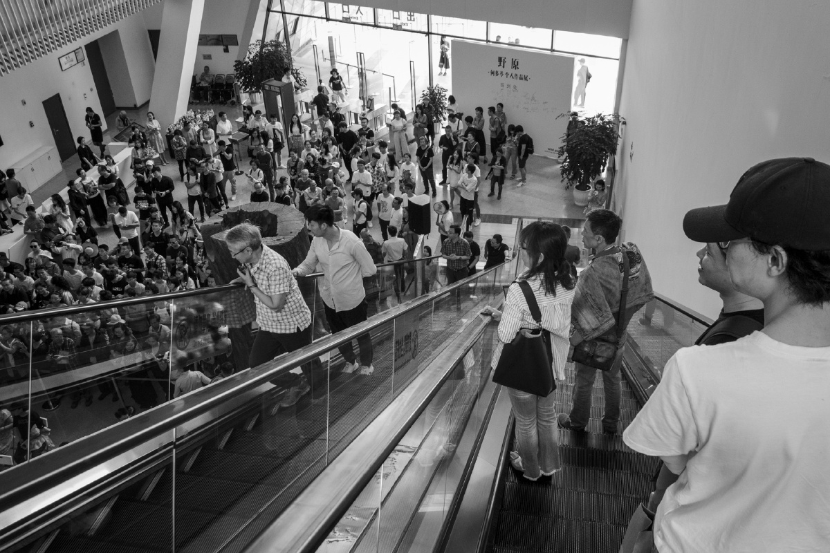 为了看一眼而上电梯的人