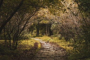 SAM_0602