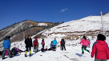 IMG_Ali_01016