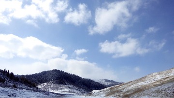 IMG_Ali_00951