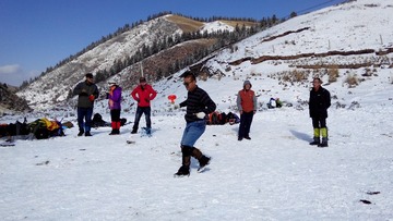IMG_Ali_01005