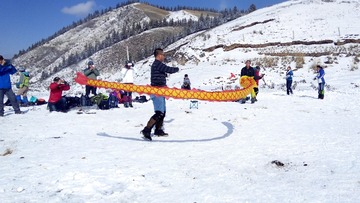 IMG_Ali_00994