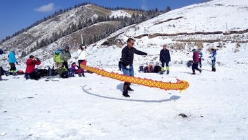 IMG_Ali_00988