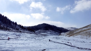IMG_Ali_00968
