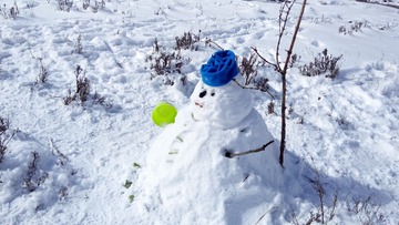 IMG_Ali_00959