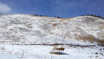 IMG_Ali_00960