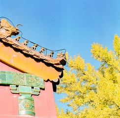 D78DAC59-806B-4544-9268-0DAE45A3476F/L0/001