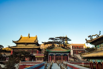 DSC_0639-2