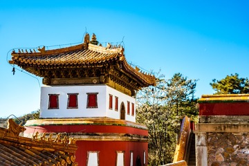DSC_0489-2