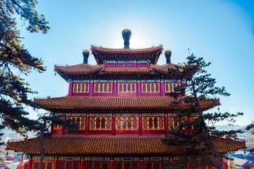 DSC_0496-2