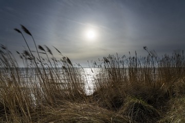 _DSC8219