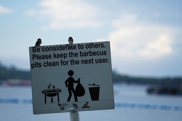 Optional(