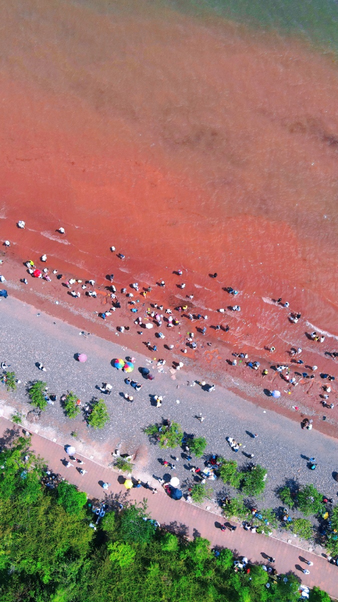 抚仙湖粉红沙滩