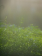 98A76C03-EC5F-4951-A4E8-5B53F78BD4A5/L0/001