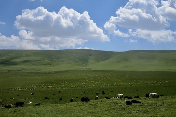 E07D44AE-ED60-49AA-B08E-9260BDE759D6/L0/001