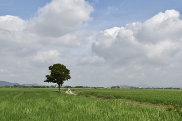 E63A0695-3BB1-4EB4-BA05-E4596C0DB566/L0/001