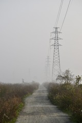 59FA1378-7C38-4473-A0C3-17B575FDF251/L0/001