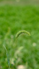 E2FEC417-136F-43F9-A949-28158F0CD0DE/L0/001