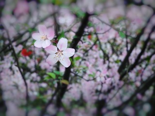 06B8354D-0E31-41DB-99AD-3D2D5D26C393/L0/001