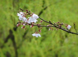 6EEFC36A-905C-4CCF-B7F0-9B5C439A3730/L0/001