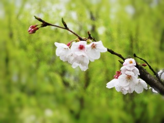 AE93F769-F22A-4B73-A5FB-922971A1DE2D/L0/001