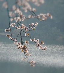 55D26E8F-5A7A-424A-896D-CD635CBAF1B2/L0/001