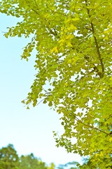7C480658-7100-43B2-96E1-D5B6ED12D433/L0/001