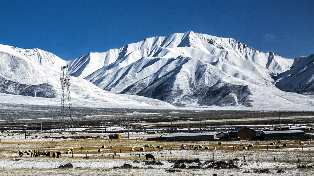 甘肃祁连雪山今日立冬防疫遥遥无期还飞雪初晴立冬寒居家不知公休日错