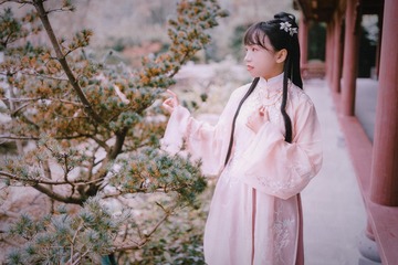 DSC00750-编辑-编辑