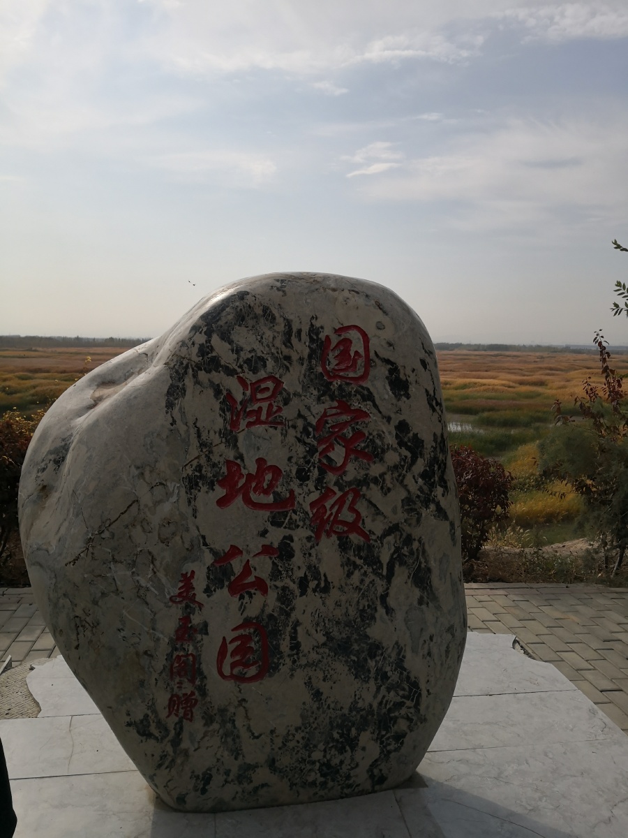 新疆玛纳斯县国家湿地公园采风