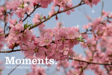 0043EB5E-90F7-4343-A226-8DB28035A057/L0/001