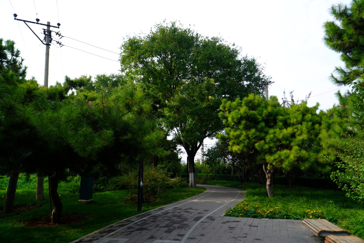 东城区大通滨河公园 闲走北京 - 超级走动的蚂蚁小哥 - 图虫