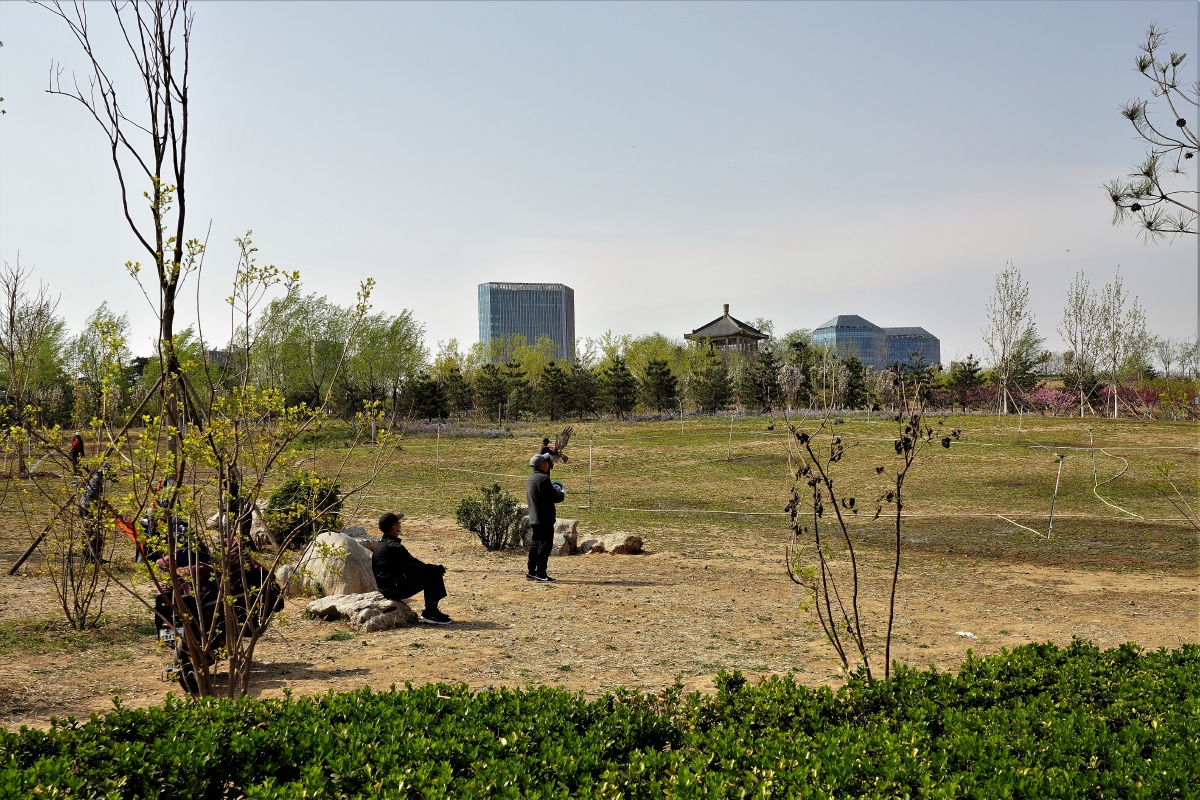 首钢松林公园 2022北京石景山 - 超级走动的蚂蚁小哥 - 图虫