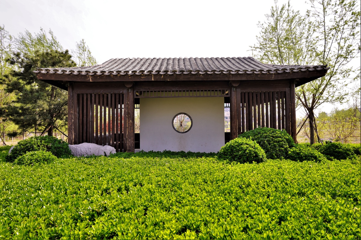 首钢松林公园 2022北京石景山 - 超级走动的蚂蚁小哥 - 图虫