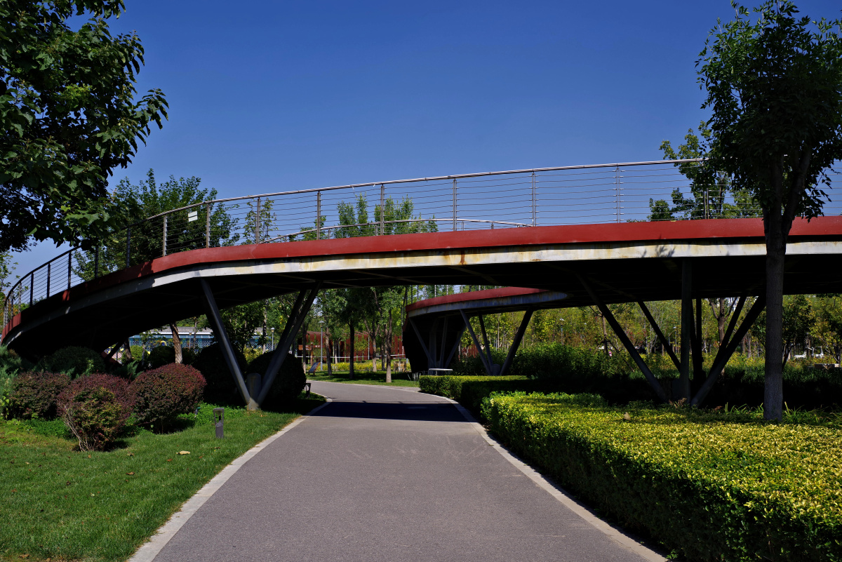 梧桐公园 北京大兴 - 超级走动的蚂蚁小哥 - 图虫